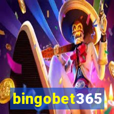 bingobet365